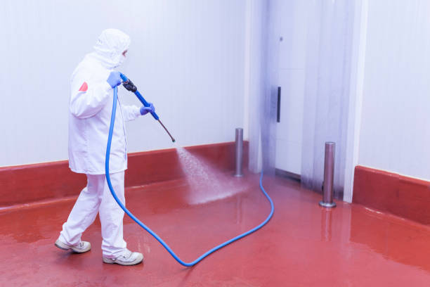 Best Boat and Dock Cleaning  in Nissequogue, NY